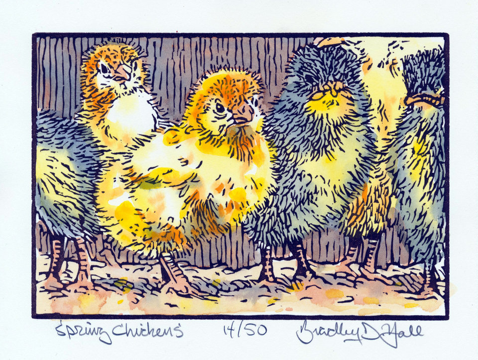 レア！Malekko Spring Chicken Reverb　中古美品 bradleydhall.indiemade.com